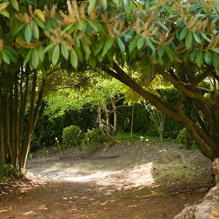 Songbird Sanctuary Villa Civray-de-Touraine Room photo